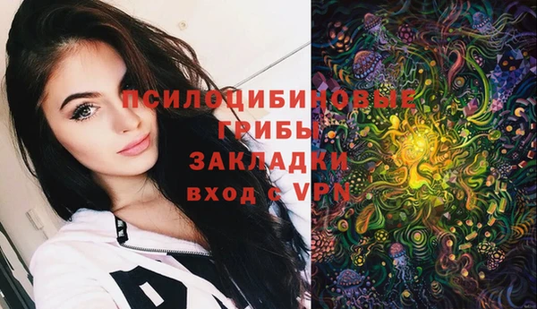 бошки Алзамай