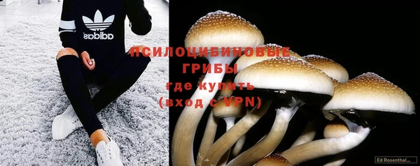 дживик Абаза